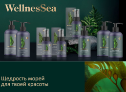Wellness Sea