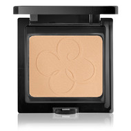 Компактная пудра                                                                   Fusion Stay-Matte Powder                                                         тон 02 Светло-бежевый