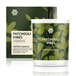 Patchouli Vibes (Пачули и давана), ароматическая свеча из натурального воска