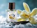 Icy Vanilla, парфюмерная вода